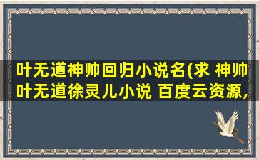 叶无道神帅回归小说名(求 神帅叶无道徐灵儿小说 百度云资源,谢谢)